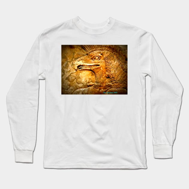 Hieroglyph Long Sleeve T-Shirt by thadz